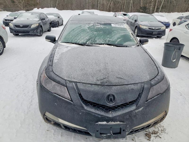 2010 Acura TL