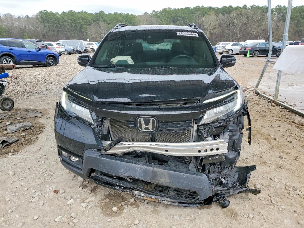 2021 Honda Passport Elite