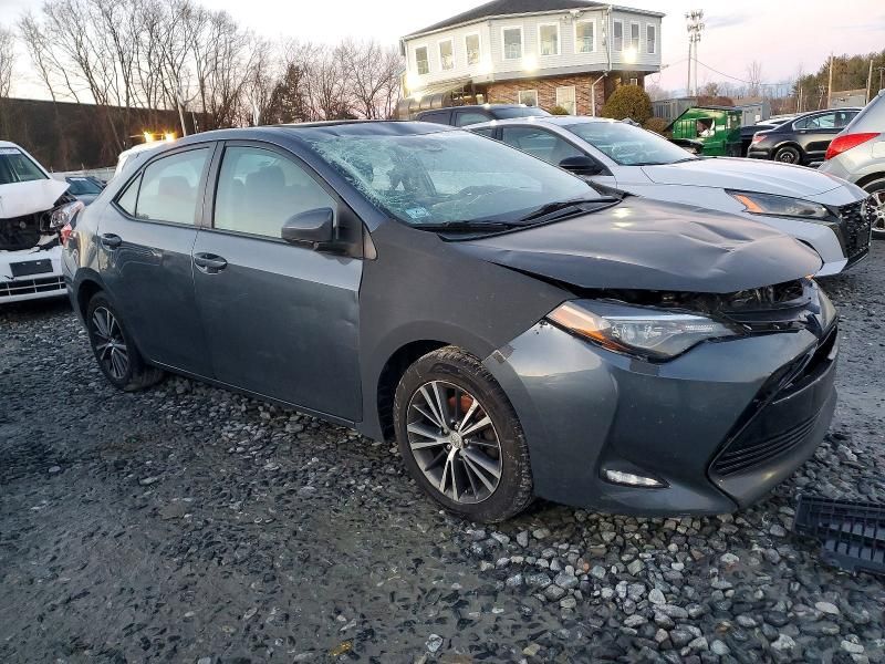 2019 Toyota Corolla l