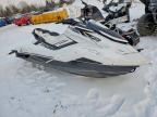 2019 Yamaha JETSKI1