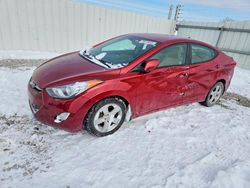 Salvage cars for sale from Copart Columbus, OH: 2013 Hyundai Elantra gls
