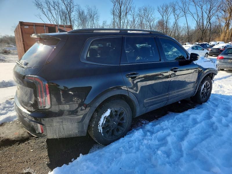 2024 KIA Telluride sx