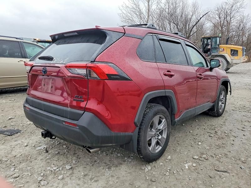 2024 Toyota Rav4 xle