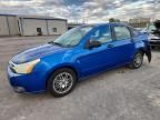 2010 Ford Focus se