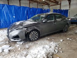 2025 Nissan Altima sv for sale in Lexington, KY