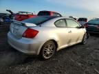 2006 Scion TC