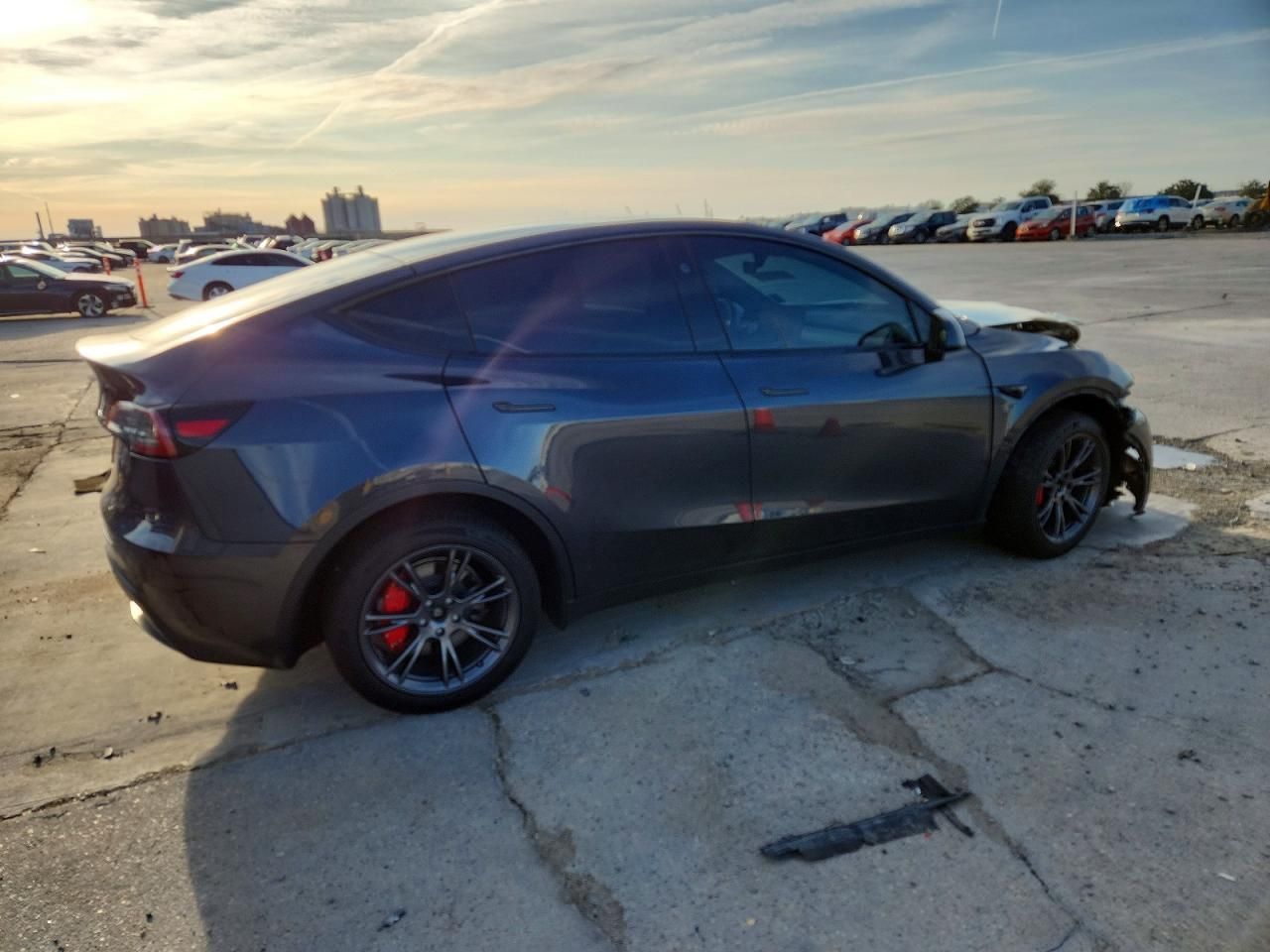 2025 Tesla Model y