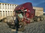 2026 Freigliner 2026 Freightliner Cascadia 126