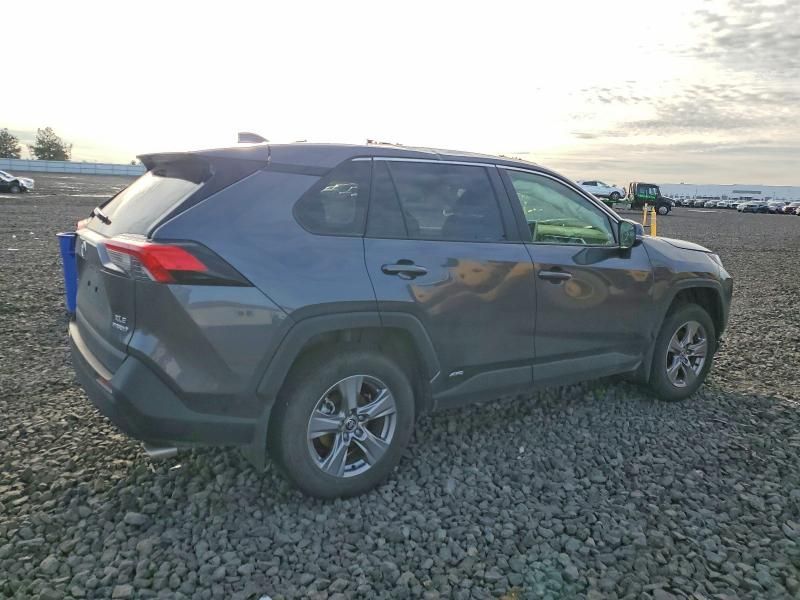 2024 Toyota Rav4 xle
