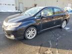 2010 Lexus Hs 250h