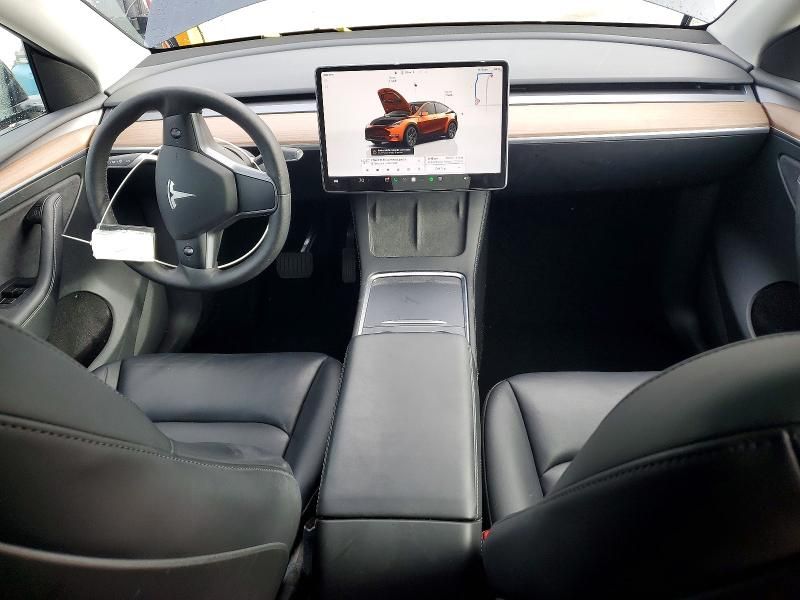 2025 Tesla Model y