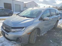 2025 Honda Odyssey Touring for sale in Windsor, NJ