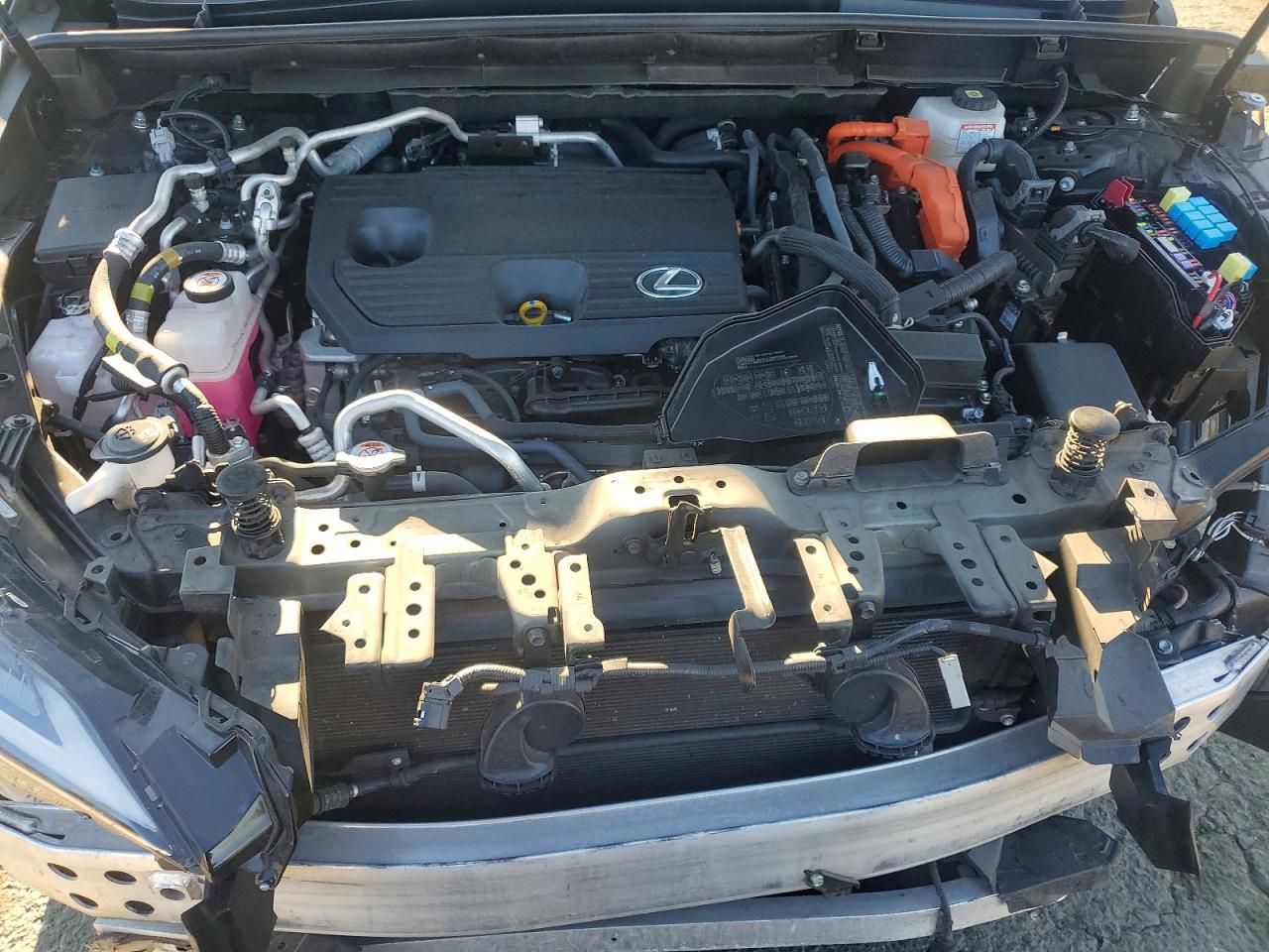 2024 Lexus Nx 450h Luxury