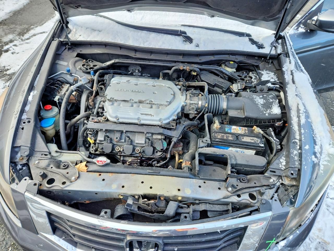 2010 Honda Accord exl