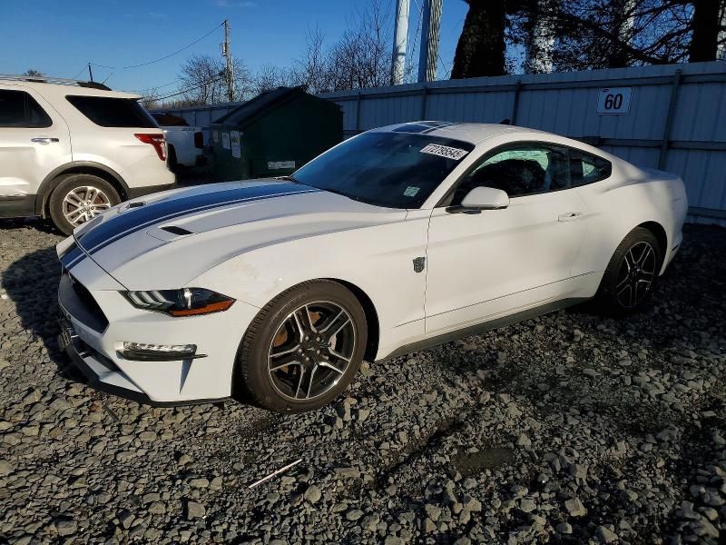 2022 Ford Mustang
