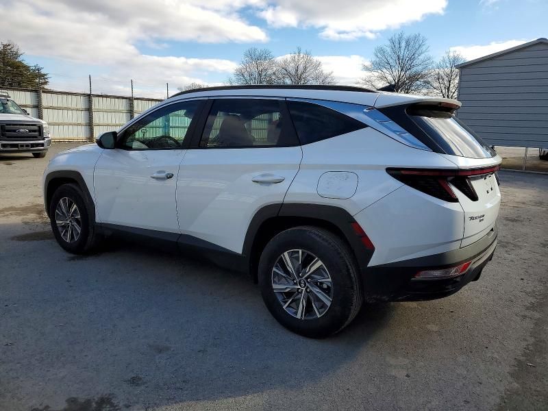 2023 Hyundai Tucson Blue