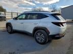 2023 Hyundai Tucson Blue