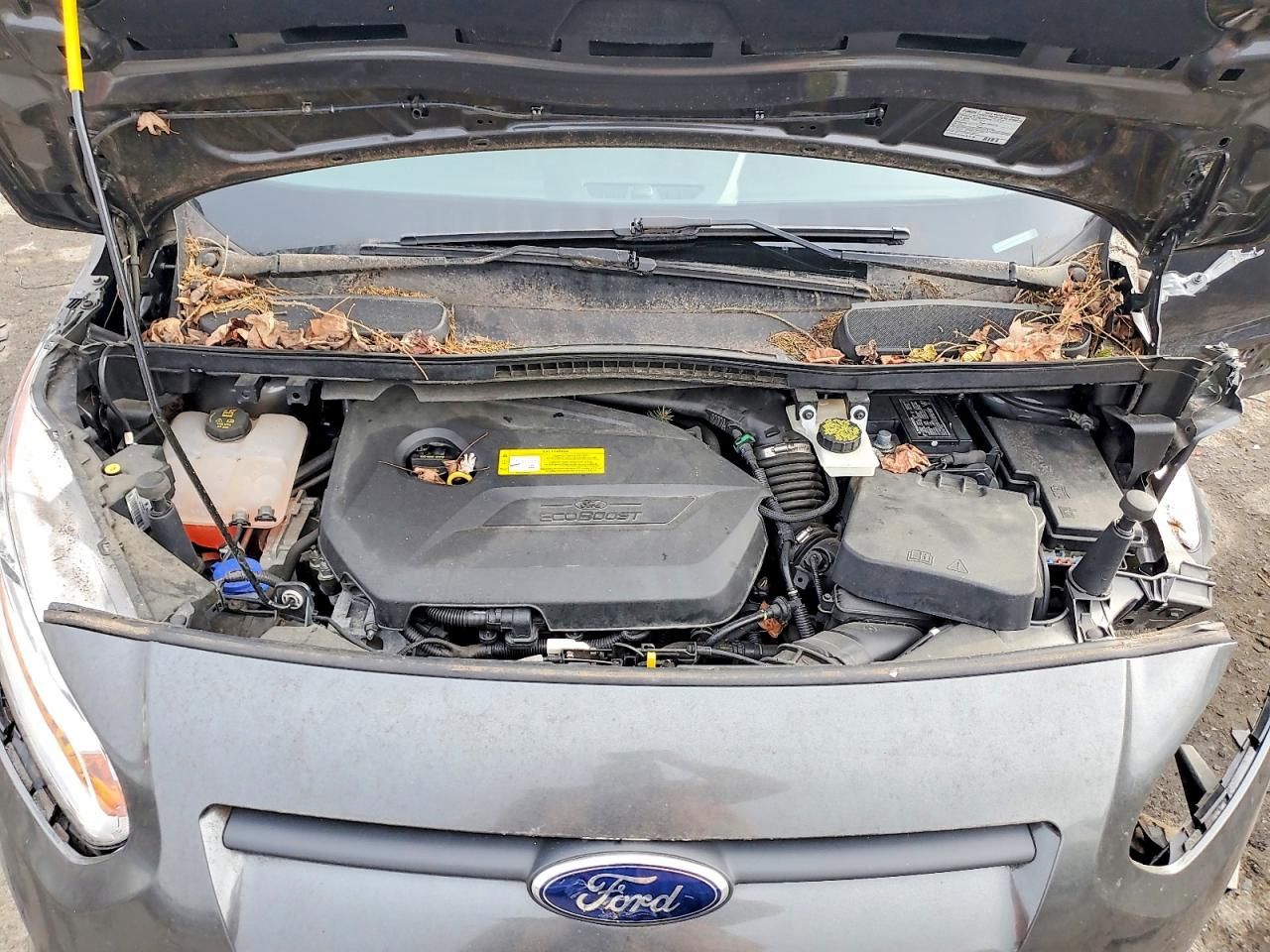 2016 Ford Transit Connect xlt