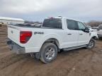 2024 Ford F150 xlt