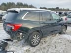 2019 Honda Pilot exl