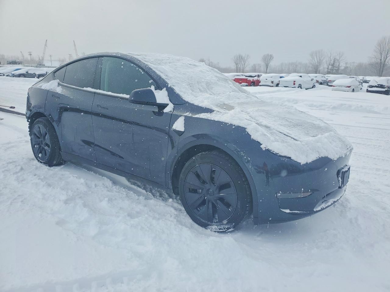 2025 Tesla Model y