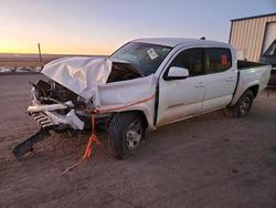 Salvage cars for sale from Copart Albuquerque, NM: 2021 Toyota Tacoma SR5