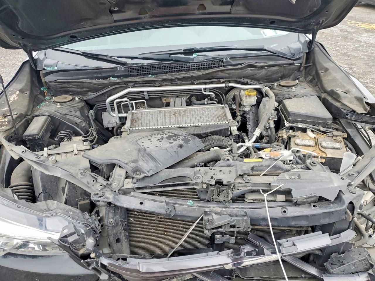 2019 Subaru Ascent Limited