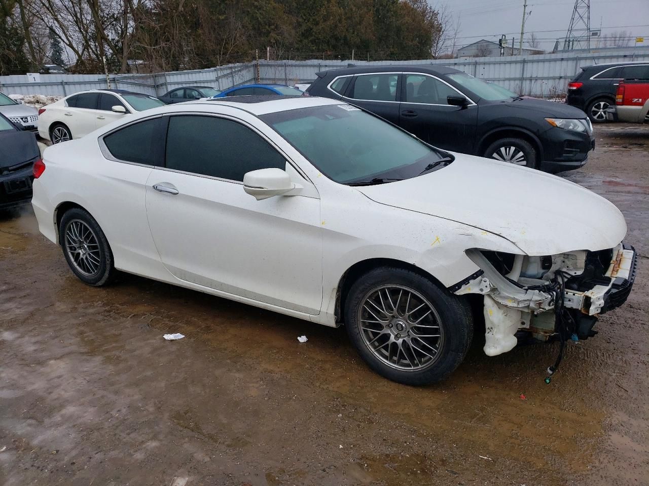 2013 Honda Accord exl