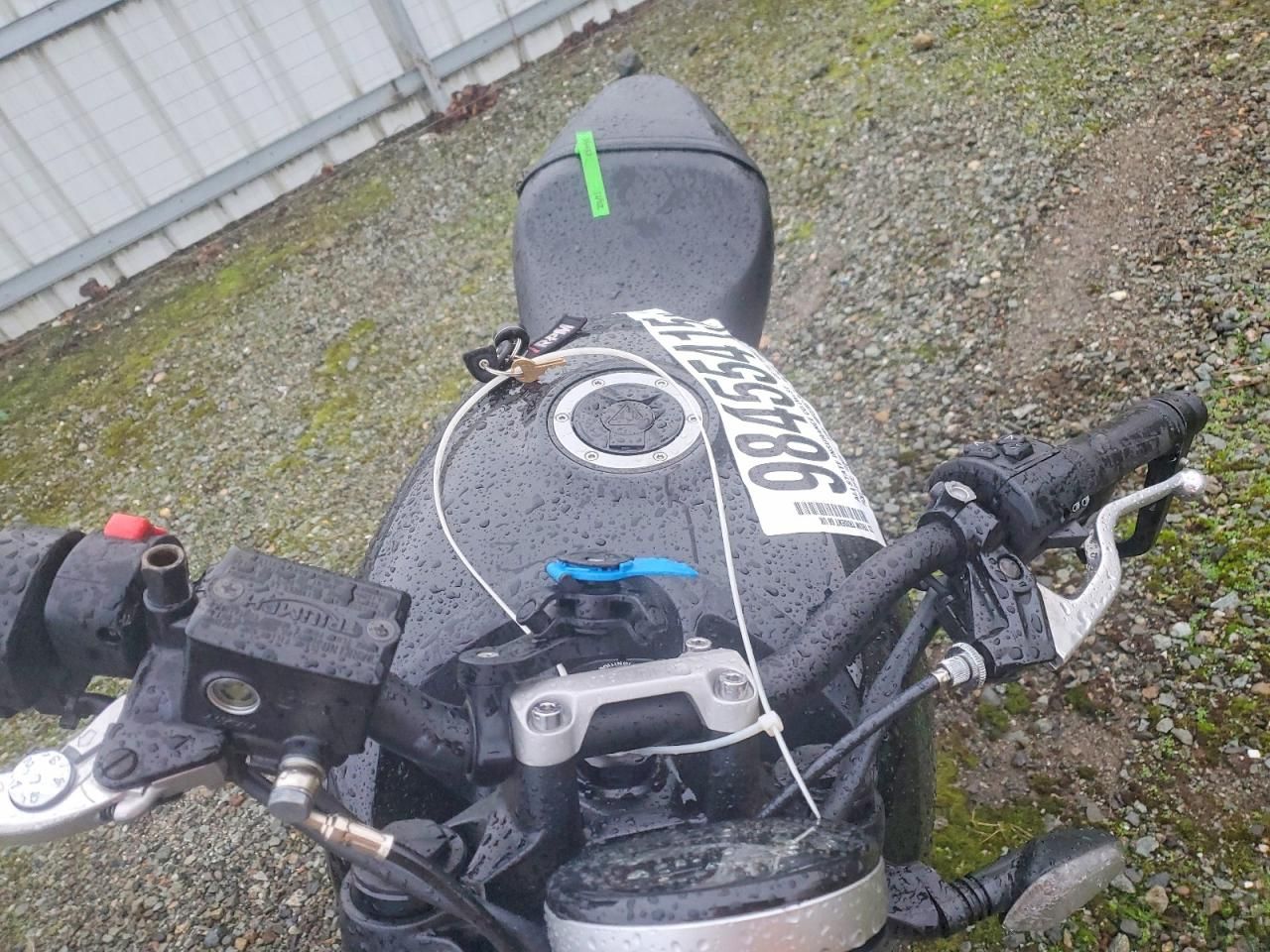 2023 Triumph Trident 660