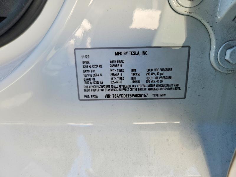 2023 Tesla Model y