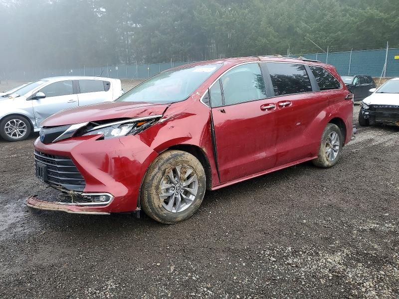 2024 Toyota Sienna xle