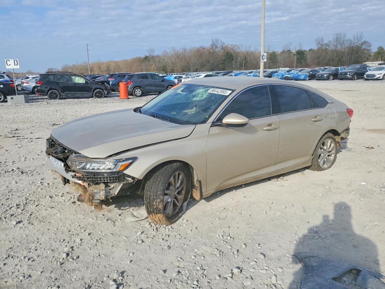 2019 Honda Accord lx