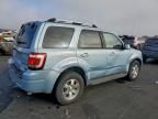 2009 Ford Escape Hybrid