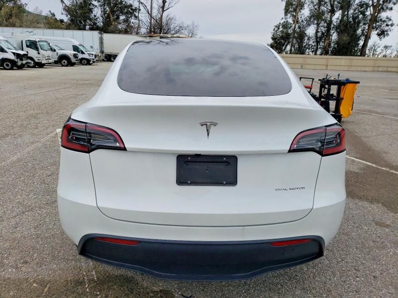 2025 Tesla Model y