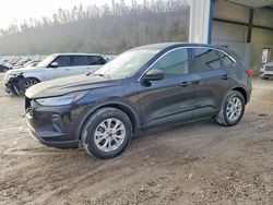 Ford Escape act salvage cars for sale: 2024 Ford Escape Active