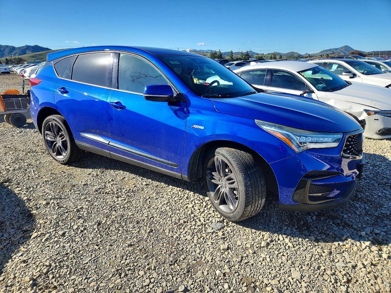 2019 Acura Rdx A-spec