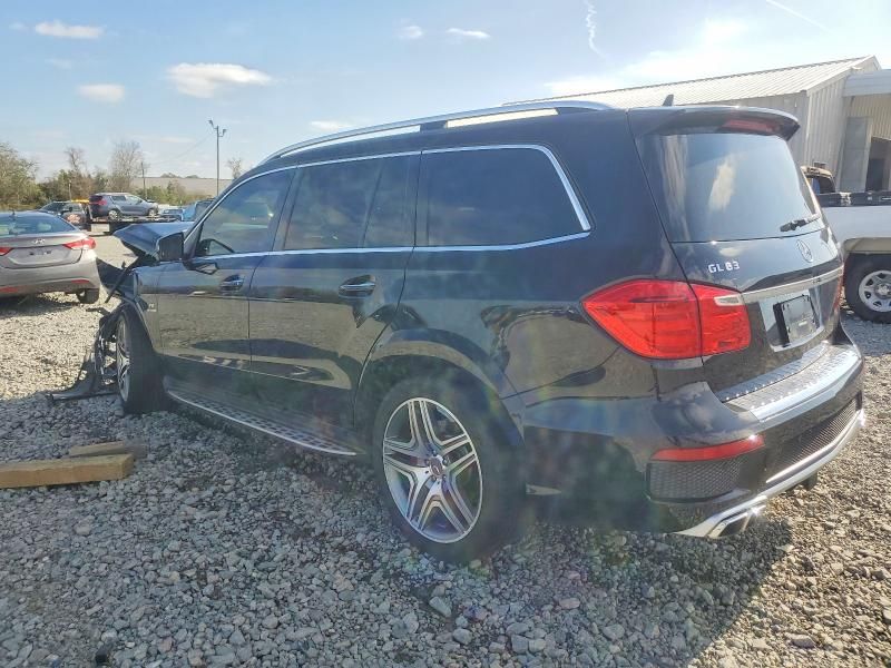 2015 Mercedes-Benz Gl 63 amg
