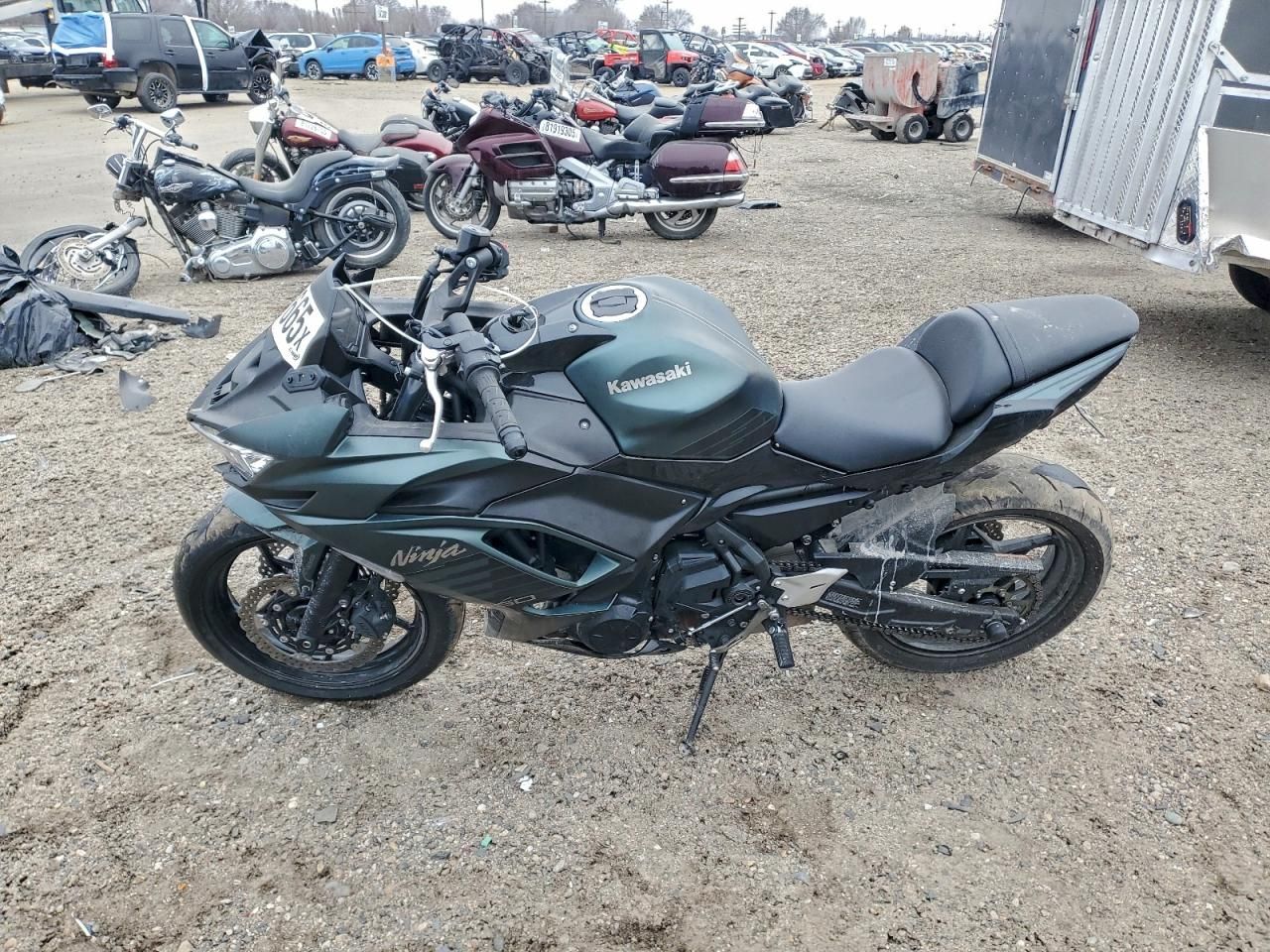 2025 Kawasaki EX650 P
