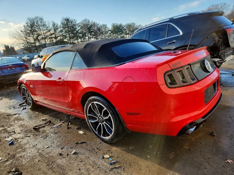 2014 Ford Mustang gt