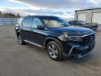 2023 Honda Pilot exl
