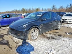 2023 Tesla Model y for sale in Brookhaven, NY