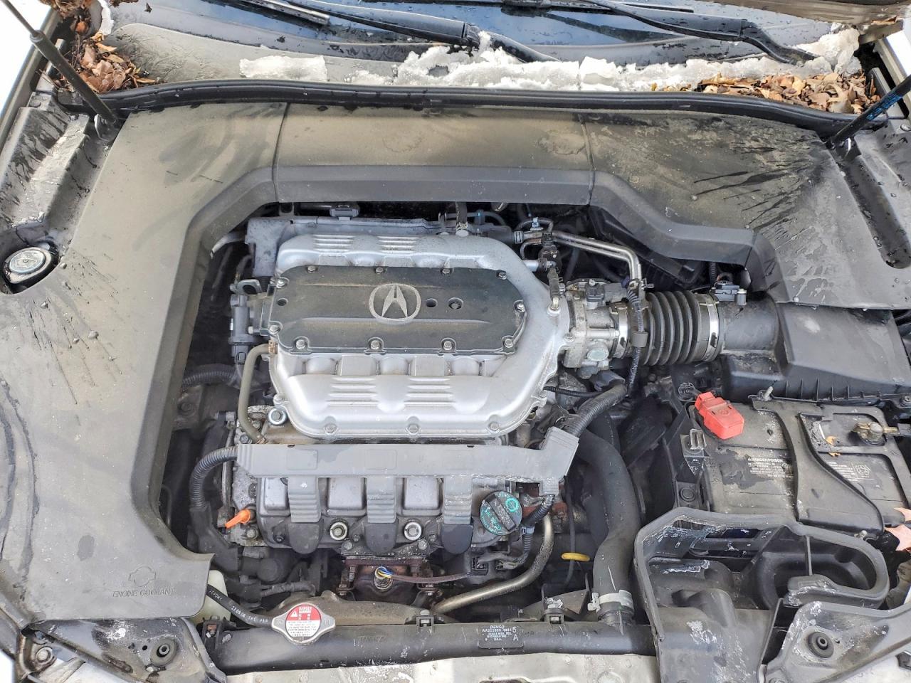 2010 Acura TL