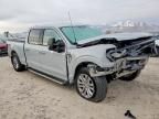 2024 Ford F150 xlt