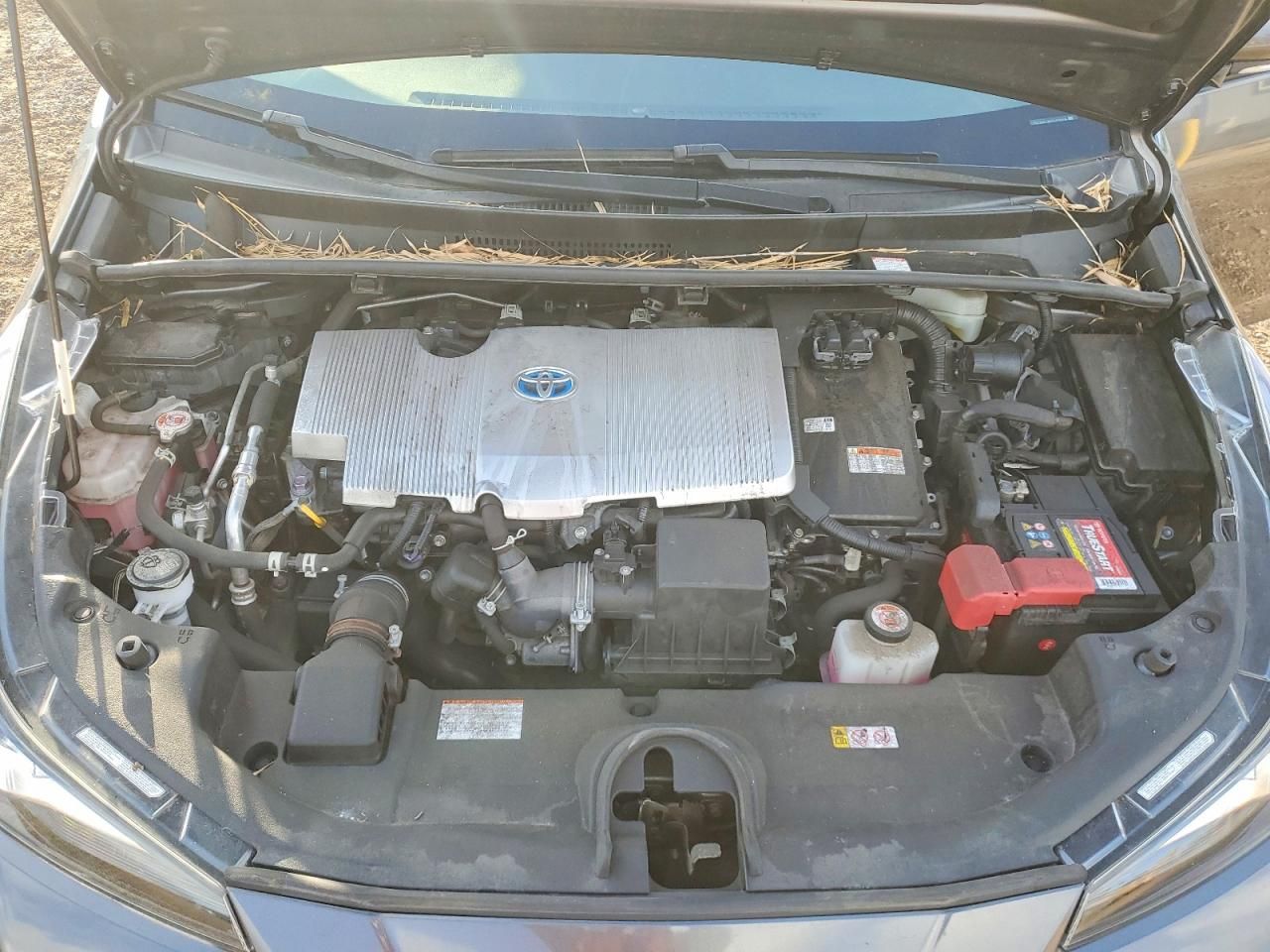 2022 Toyota Prius Night Shade