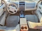 2010 Ford Escape xls