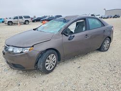 KIA Vehiculos salvage en venta: 2013 KIA Forte ex