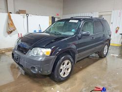 2006 Ford Escape xlt en venta en Elgin, IL