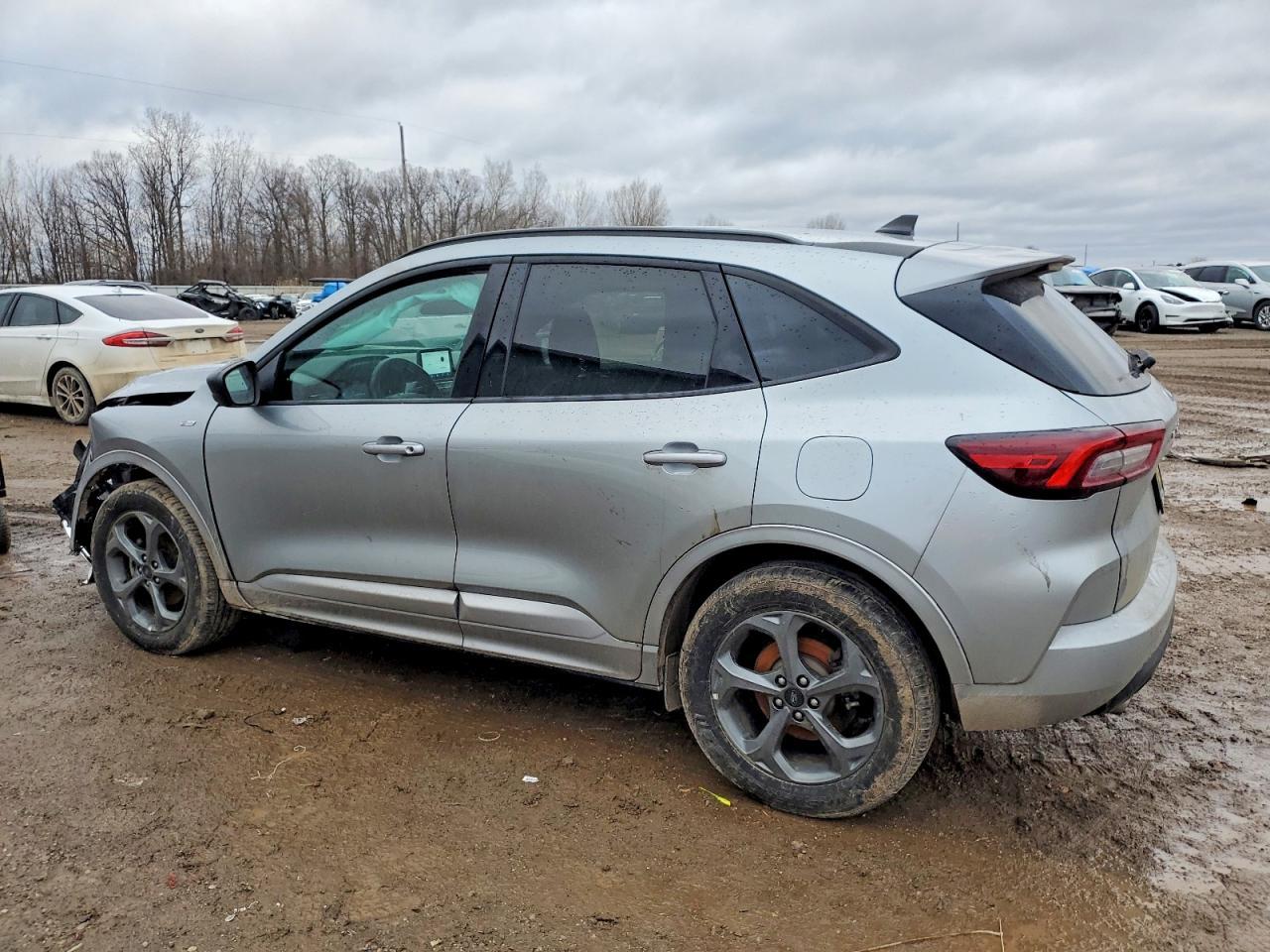 2024 Ford Escape st Line