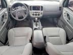 2005 Ford Escape xlt