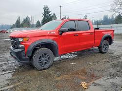 Chevrolet salvage cars for sale: 2019 Chevrolet Silverado K1500 Trail Boss Custom